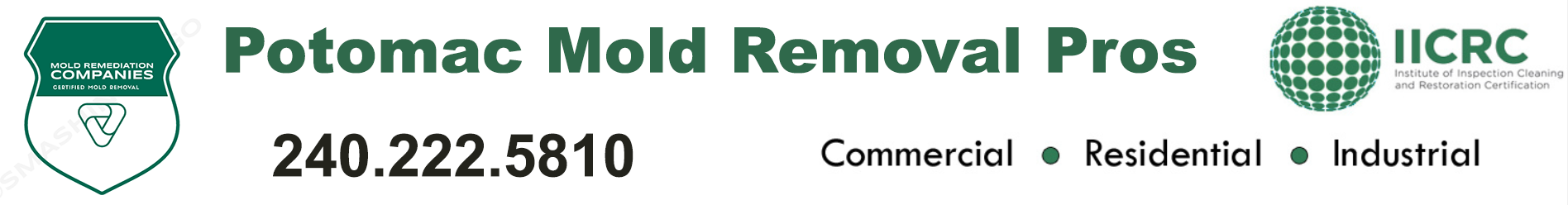 Potomac Mold Removal Pros